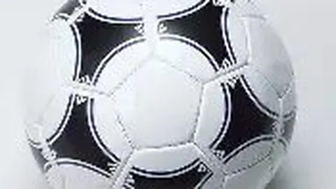 熊猫体育 产品 125411 222