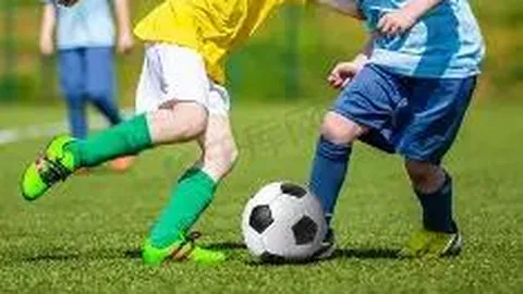 熊猫体育 产品 094506 zcz