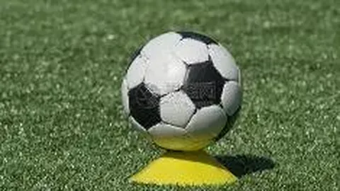 熊猫体育 产品 095848 to1