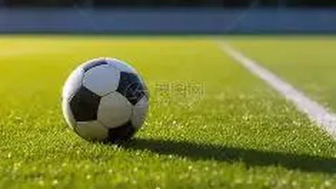 何晴61岁因脑瘤离世，父母亦因脑溢血去世，曾饰《三国演义》小乔