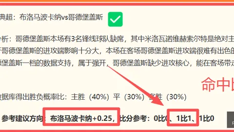 熊猫体育 085353